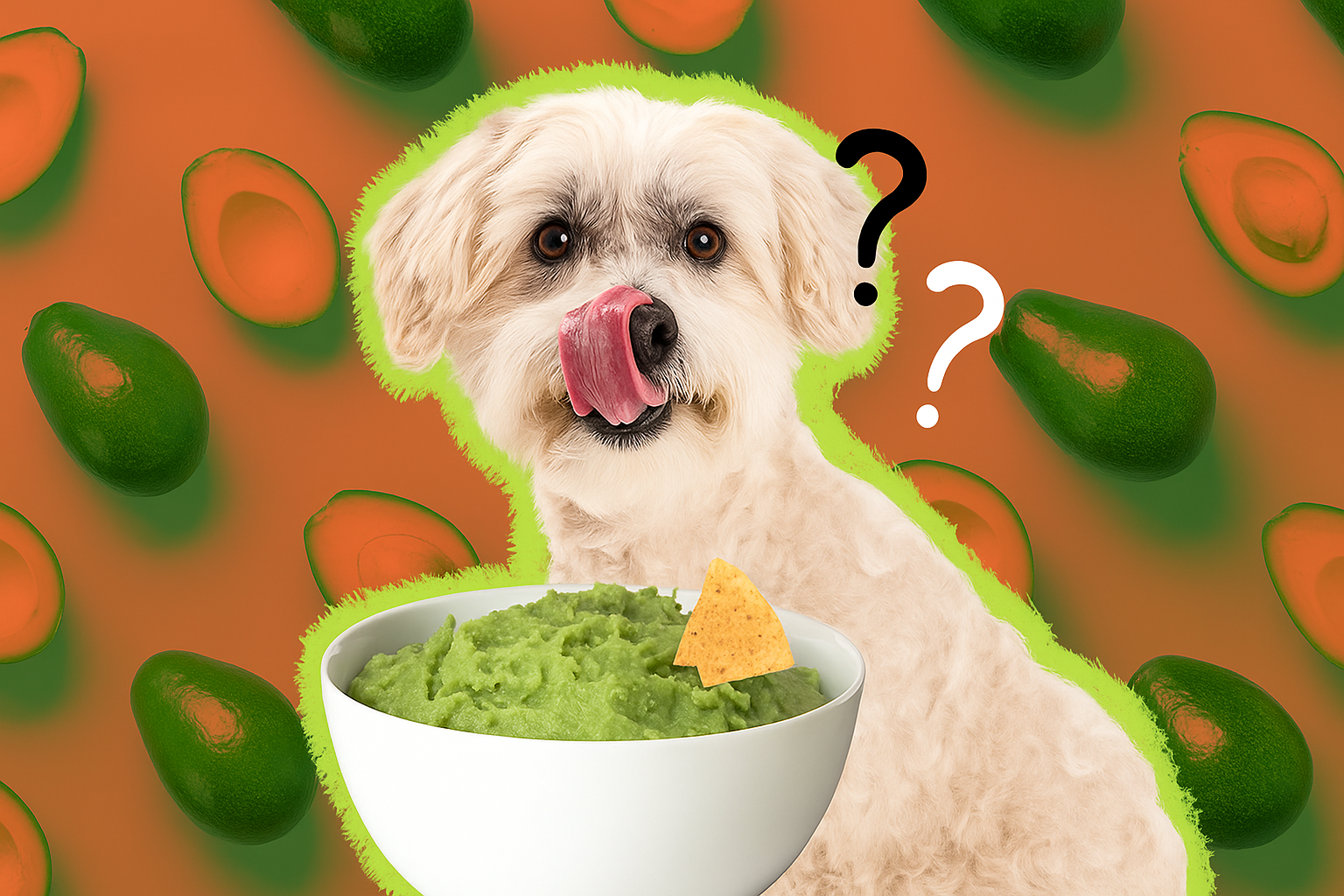 Can Dogs Eat Avocado Oil