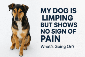 My Dog Is Limping but Shows No Sign of Pain