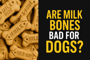 Are Milk Bones Bad for Dogs