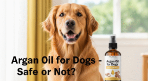 Is Argan Oil of Morocco Good for Dogs?