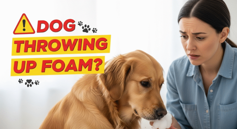 Why Is My Dog Throwing Up Foam?