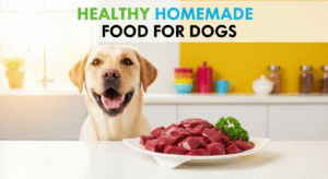 Is Beef Liver Good for Dogs