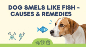 Why Does My Dog’s Breath Smell Like Fish?